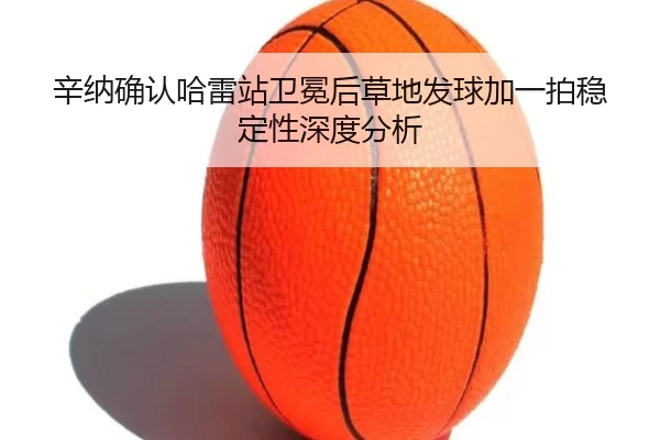 xin-na-que-ren-ha-lei-zhan-wei-mian-hou-cao-di-fa-qiu-jia-yi-pai-wen-ding-xing-shen-du-fen-xi-2-882.jpg